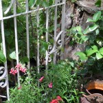 Greenhouse surrounds