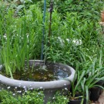 Greenhouse surrounds