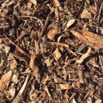 bark mulch