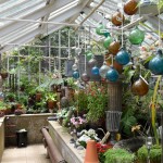 Inside The Greenhouse