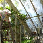 Inside The Greenhouse