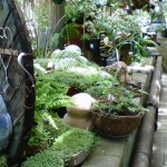 Inside The Greenhouse