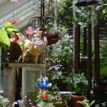 Inside The Greenhouse