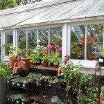 The Greenhouse